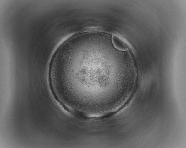 X0000112751333200908201409