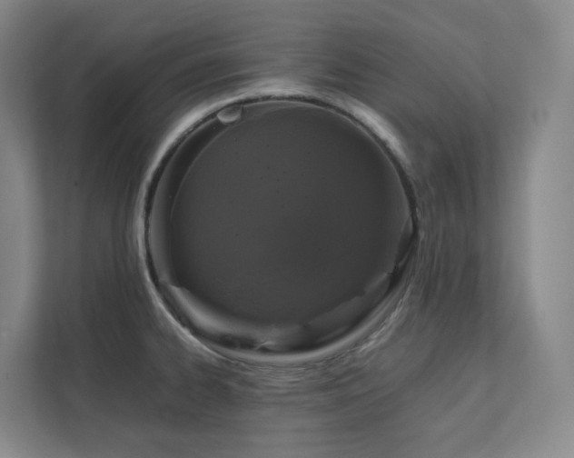 X0000112751334200908201409