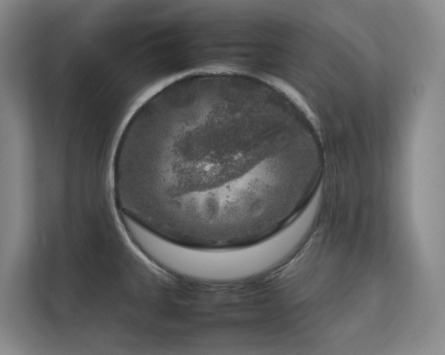 X0000112751335200908201409