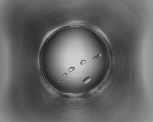X0000112751336200908201409