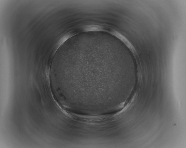 X0000112751337200908201409