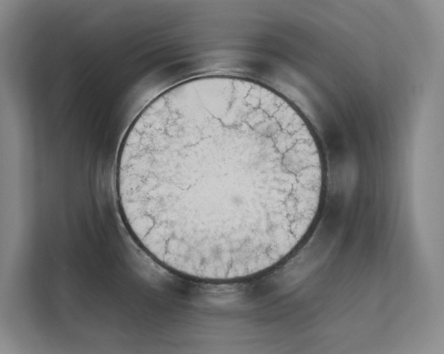 X0000112751338200908201409