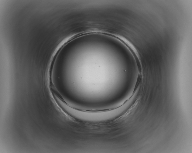 X0000112751341200908201409