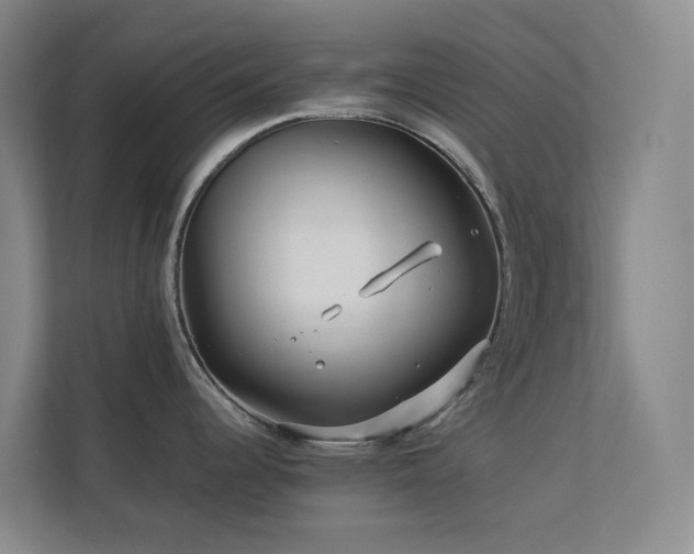 X0000112751344200908201409
