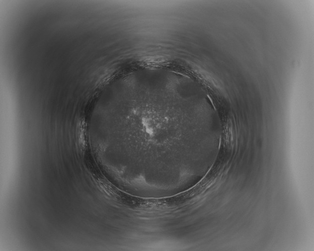 X0000112751346200908201409