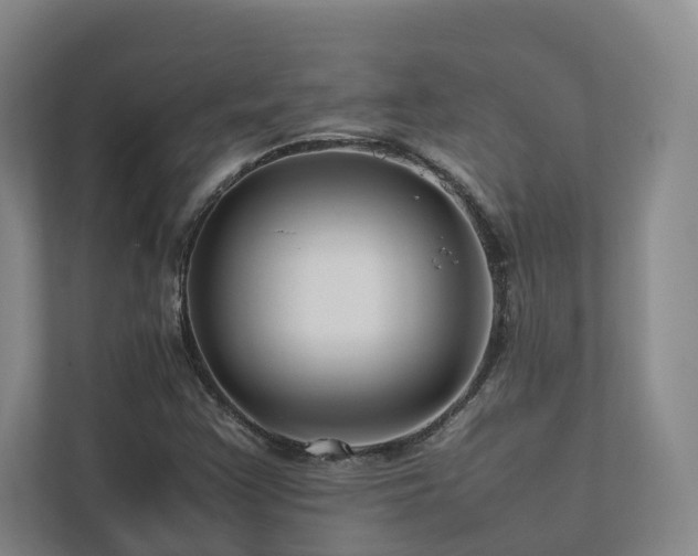 X0000112751355200908201409