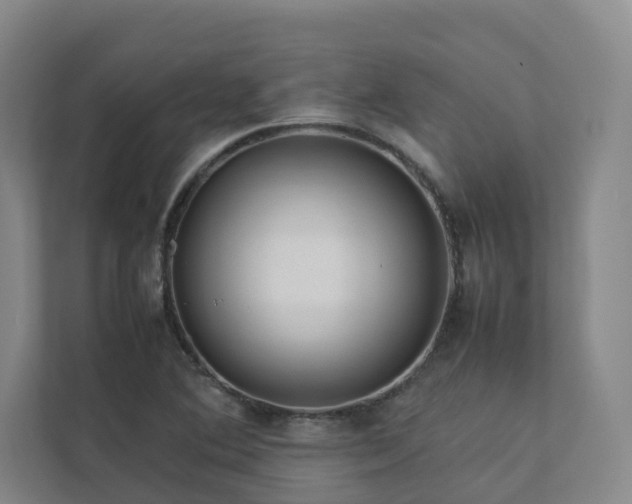 X0000112751364200908201408