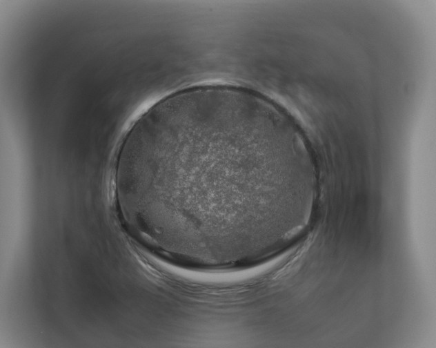 X0000112751367200908201408