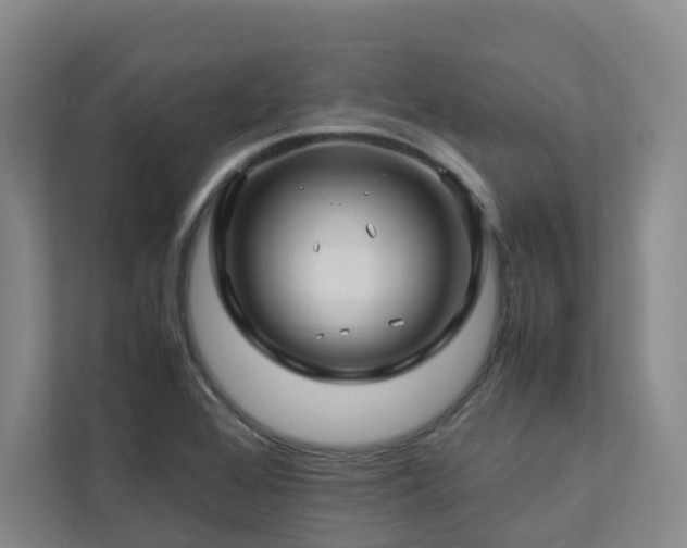 X0000112751368200908201408