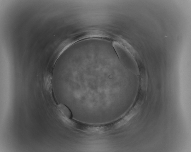 X0000112751369200908201408