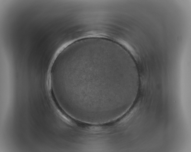 X0000112751371200908201408