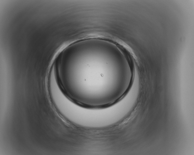 X0000112751373200908201408