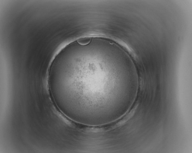 X0000112751374200908201408