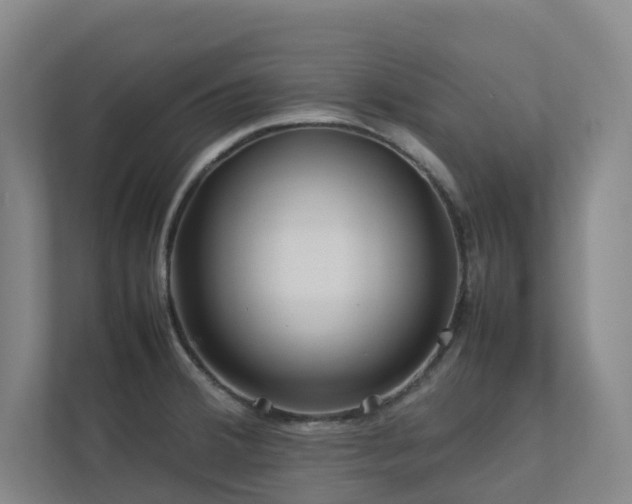 X0000112751380200908201408