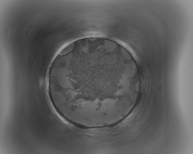 X0000112751383200908201408