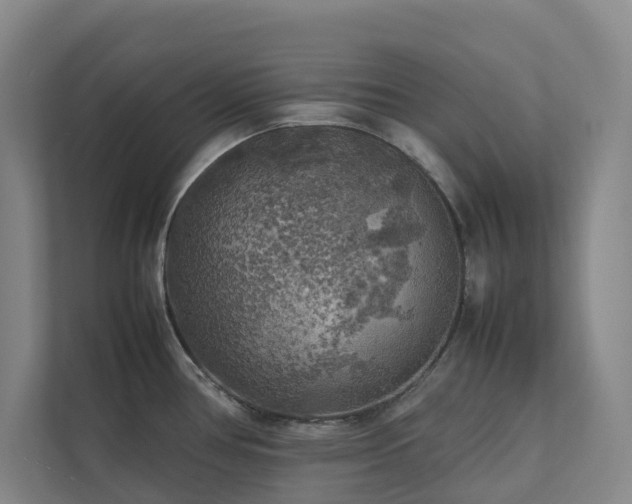 X0000112751386200908201408