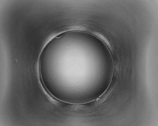 X0000112751391200908201408