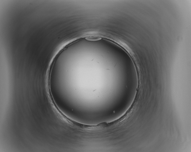 X0000112751392200908201408