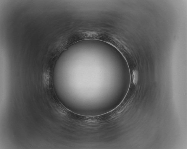 X0000112751395200908201407