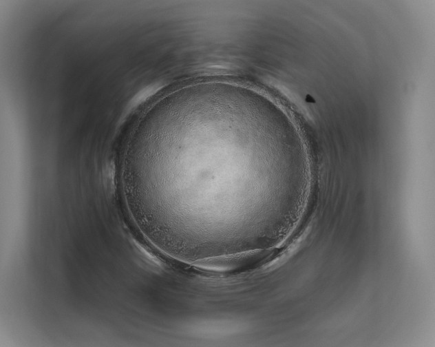 X0000112751402200908201407