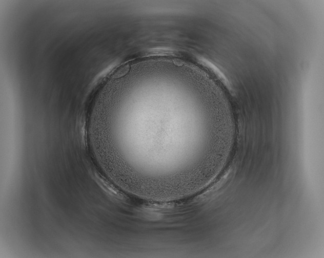 X0000112751403200908201407