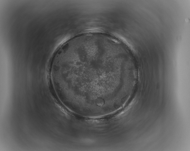 X0000112751405200908201408