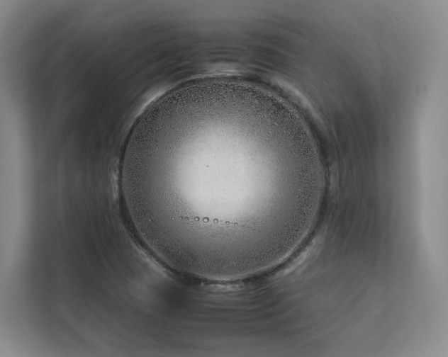 X0000112751409200908201408