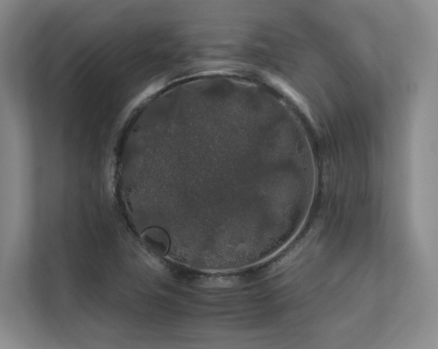 X0000112751411200908201408