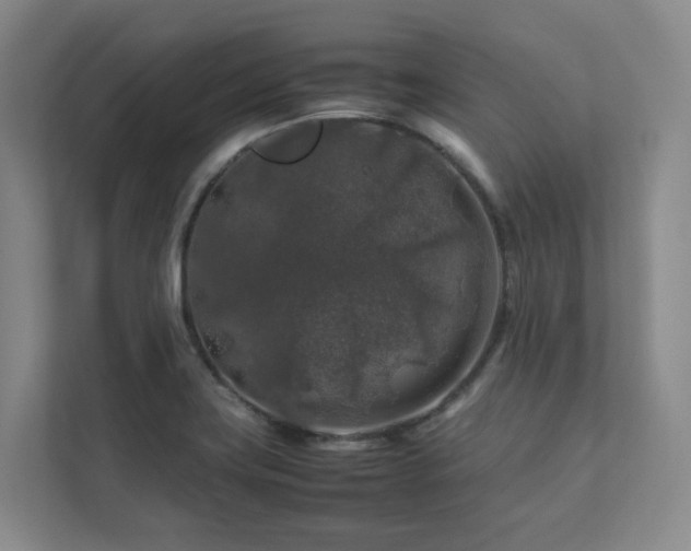 X0000112751419200908201408