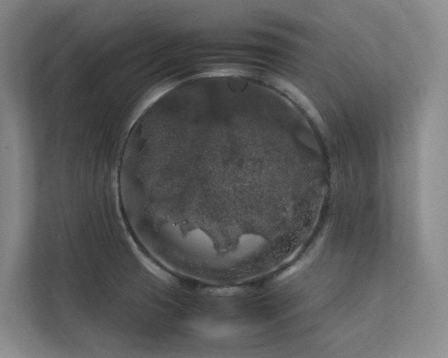 X0000112751425200908201408