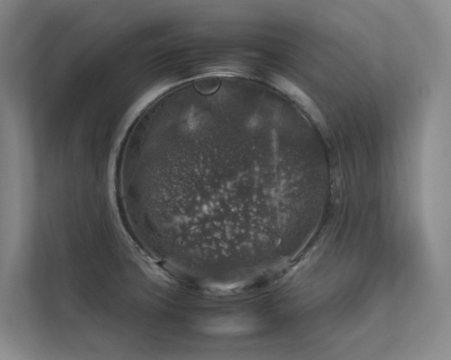 X0000112751427200908201408