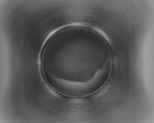 X0000112751428200908201408