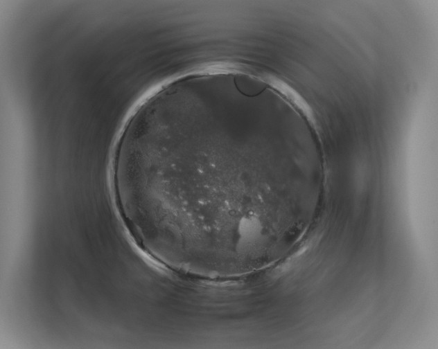 X0000112751429200908201408