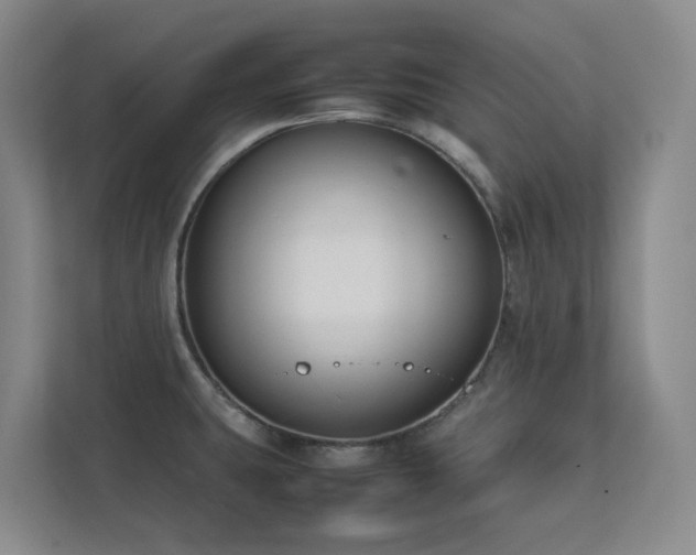 X0000112751431200908201408