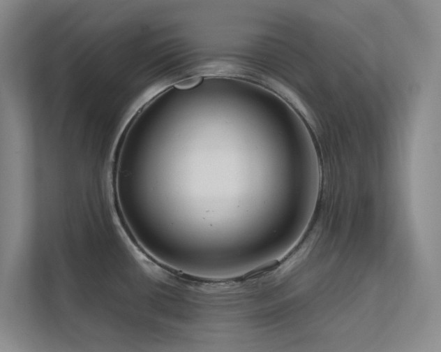 X0000112751434200908201408