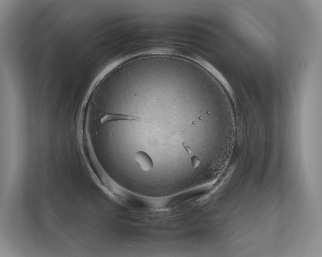X0000112751437200908201408