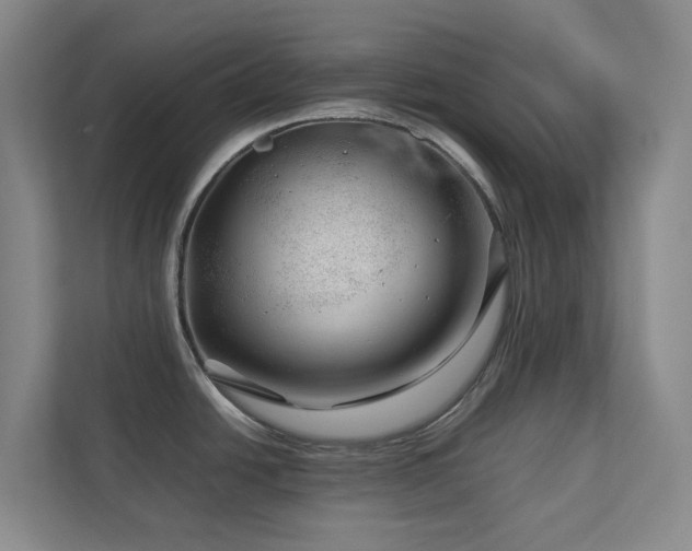 X0000112751438200908201408