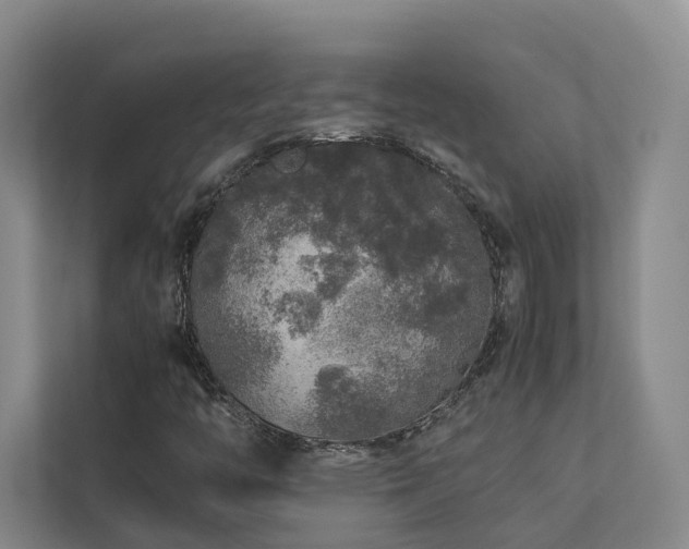 X0000112751446200908201407