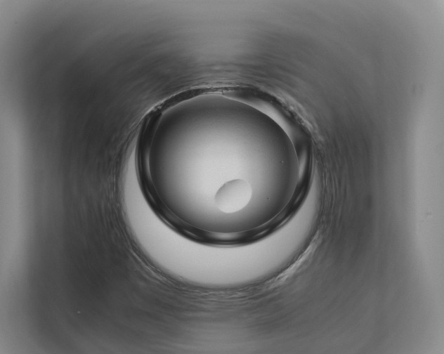 X0000112751449200908201407