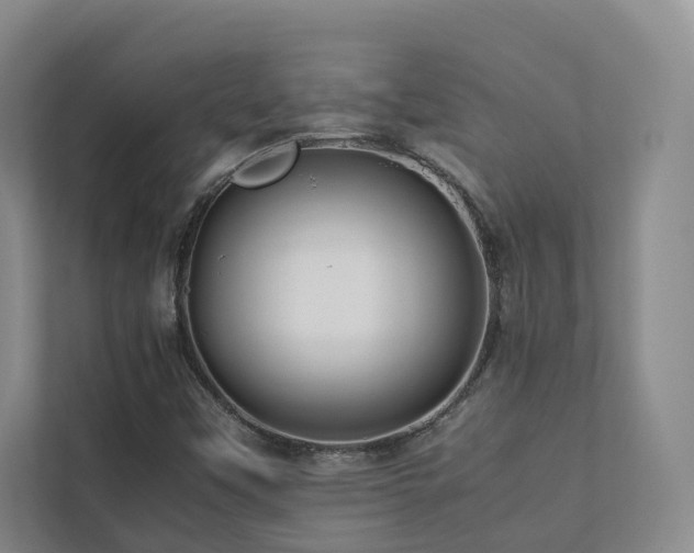 X0000112751451200908201407