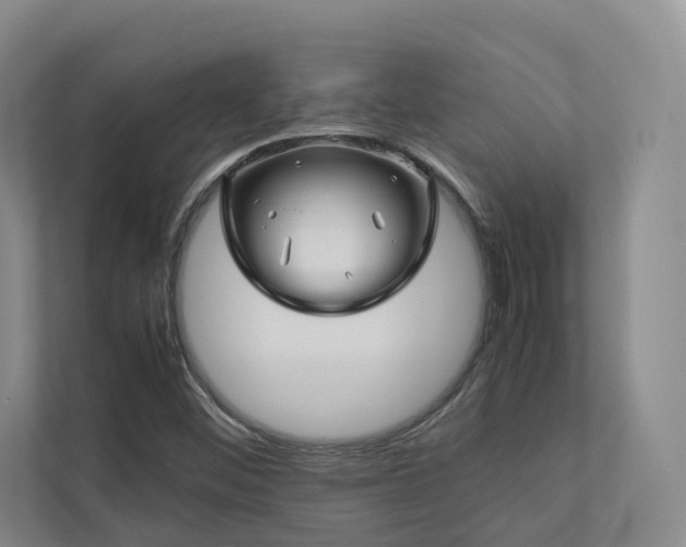 X0000112751452200908201407