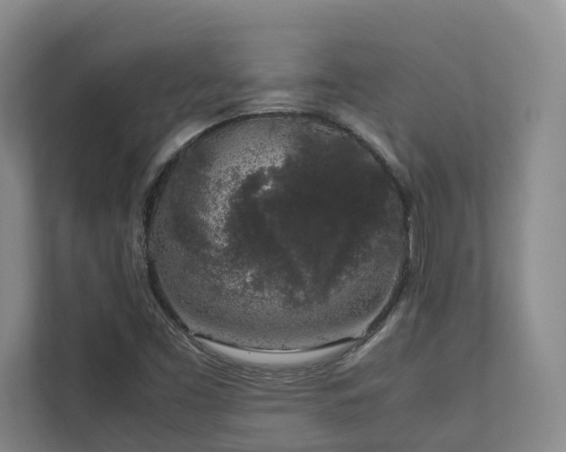 X0000112751453200908201407