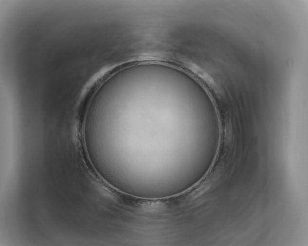 X0000112751454200908201407