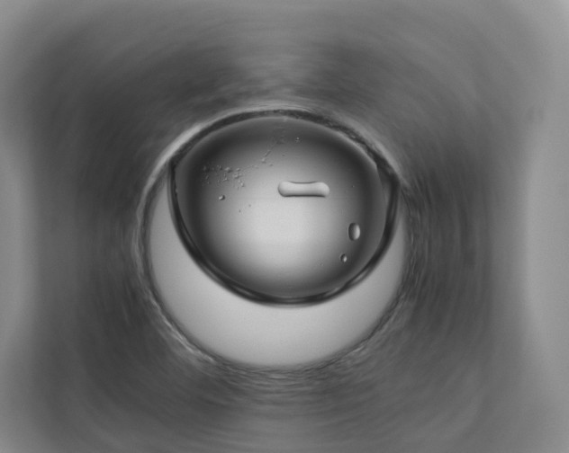 X0000112751460200908201407
