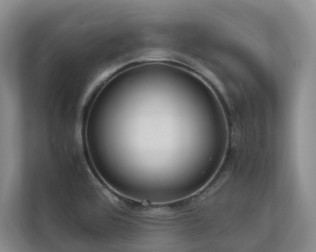 X0000112751464200908201407