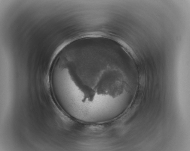X0000112751466200908201407