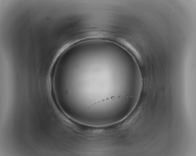 X0000112751467200908201407