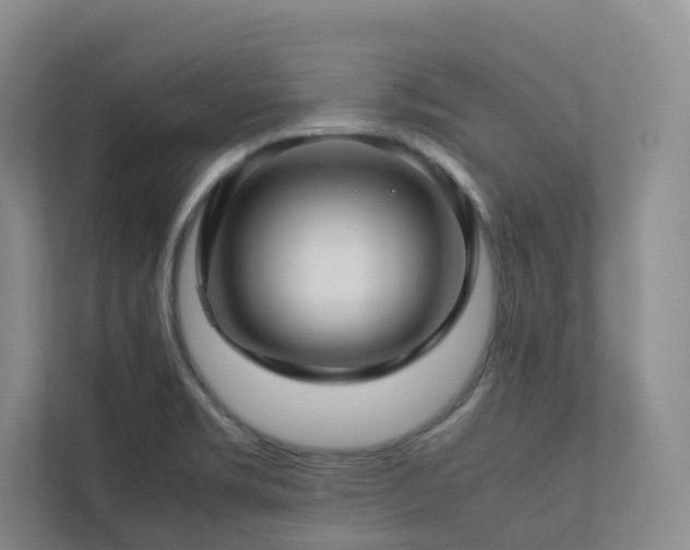 X0000112751469200908201407