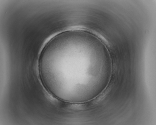 X0000112751470200908201407