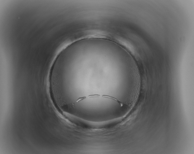 X0000112751471200908201407